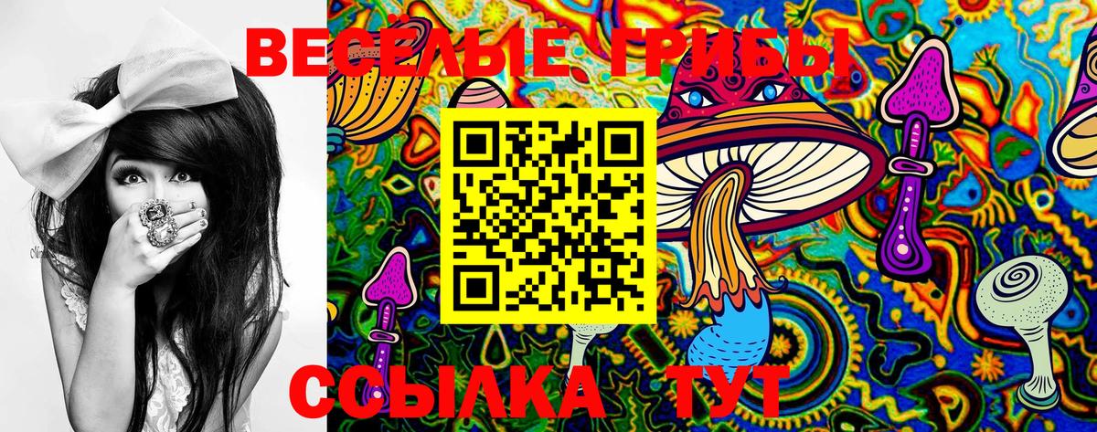 как найти закладки  Галлюциногенные грибы Psilocybine cubensis  Вход с VPN  Южно-Сахалинск 